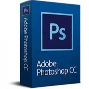 Digital Products & Software