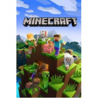 Steam Wallet & PC Game Keys