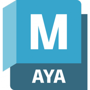 Digital Products & Software